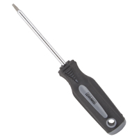 SCREWDRIVER STAR T15X4IN