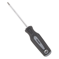 SCREWDRIVER STAR T20X4IN