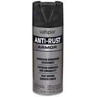 PAINT SPRAY AR WROUGHT IRON BK