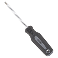 SCREWDRIVER STAR T25X4IN