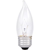 TORP 40W BULB CLR BENT 2PK MB