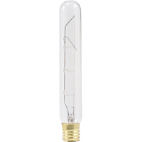 18465 CLEAR TUBE BULB 25W T6.5