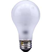 12997 ROUGH SERV BULB 100W A19