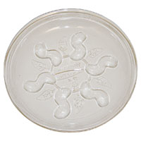 14" Saucer Plus