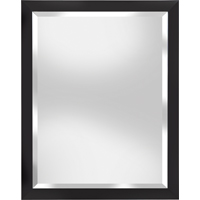 REN-200359 FRAMED WALL MIRROR 28