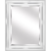 REN-200101 MIRROR 28X35 RECTANGU