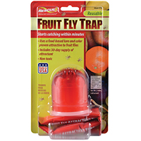 TRAP FRUIT FLY SINGLE PACK