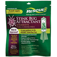 ATTRACTANT STINK BUG