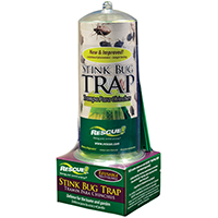 TRAP STINK BUG REUSABLE