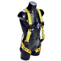 GUA-01703 HARNESS SAFETY W/BDR