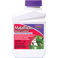 Insecticide Malathion Insect