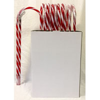 CANDY CANE 5FT PRELIT PDQ