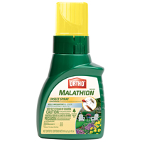 ORTHO MAX MALATHION INSECT CONC