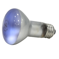 15677 45W R20 DAY REFLECTOR1PK