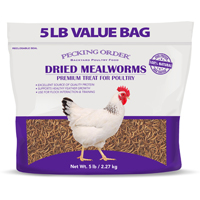 MEALWORMS DRIED 5LB