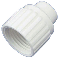 CAP PEX POLY 1/2 IN
