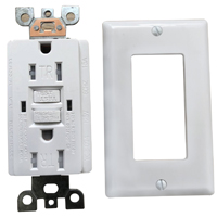 AFL-2498574 DUPLEX RECEPTACLE 15