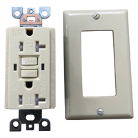 GFCI WALL RECP TR ST IVORY 20A
