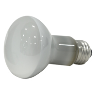 14997 45R20 REFLECTR FLOOD 2PK