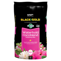 140203016QTP BLK GLD PTNG SOIL