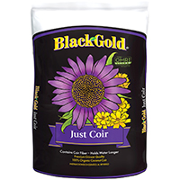 13913022CFLP BLK GLD JUST COIR