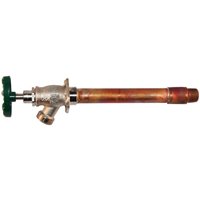 HYDRANT FROST FREE 6IN