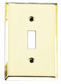 POLISHED BRASS SINGLE PLATE