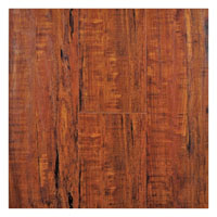 21231184 ASN MHGNY 8.3MM LAM