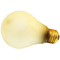 100W/RINO/SFELI BULB FRO 100WATT