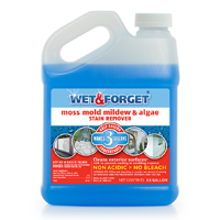 W&F-800064 STAIN REMOVER 0.5GAL