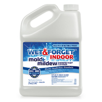 CLEANER MOLD/MLDW INDOOR 128OZ