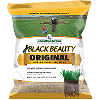 BLACK BEAUTY ORIGINAL 5LB