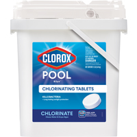 POOL & SPA CHL TABLET ACTV99 3IN