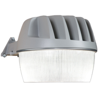 AL2550LPCGY LIGHT LED AREA
