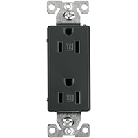 9505TRSG TR DUPLEX RECEPTACLE