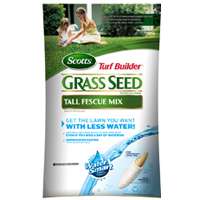 17563 FESCUE 20 LB