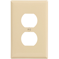 WALL PLATE 1GANG DPLX RECPT IV