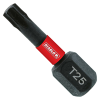 BIT INSERT NO25 TORX 1IN