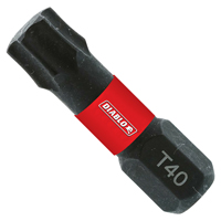 25 PACK 1IN #40 TORX DRIVE BITS