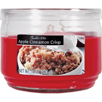 1879021 10OZ 3WICK JAR CINN AP