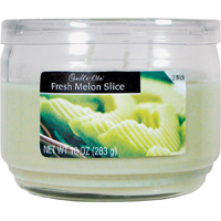 1879312 10OZ 3WICK JAR MELON