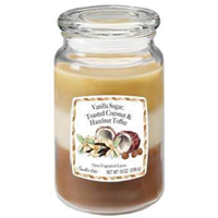1962083 19OZ JAR CANDLE V/S/H