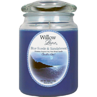 1646033 19OZ JAR SANDALWOOD