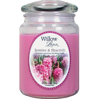 1646622 19OZ JAR JASMINE HYAC