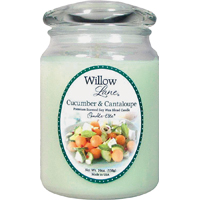 1646038 19OZ JAR CUCUMBER CANT