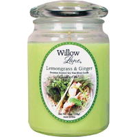 1646043 19OZ JAR LEMONGRAS GIN