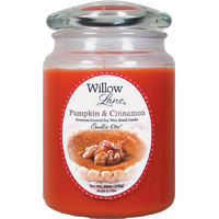 1646951 19OZ JAR PUMPKIN CINN
