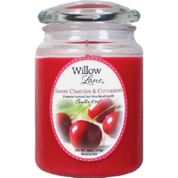 1646991 19OZ JAR CHERRIES CINN