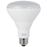 BULB LED BR30 MED 27K 9/65W