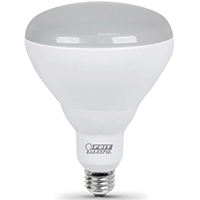 FEI-BR40DM/10KLED/2 BULB BR40